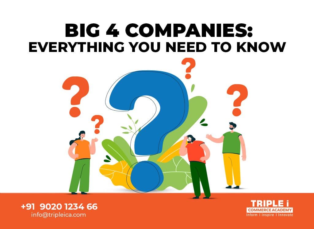 Big 4 accounting firms